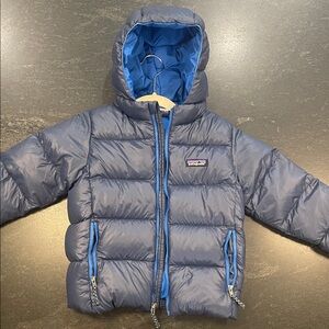 Patagonia Hi-Loft Down Sweater Hoody